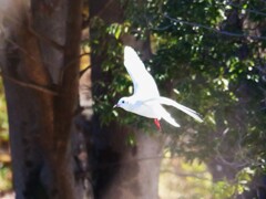 わーい餌の時間だ～