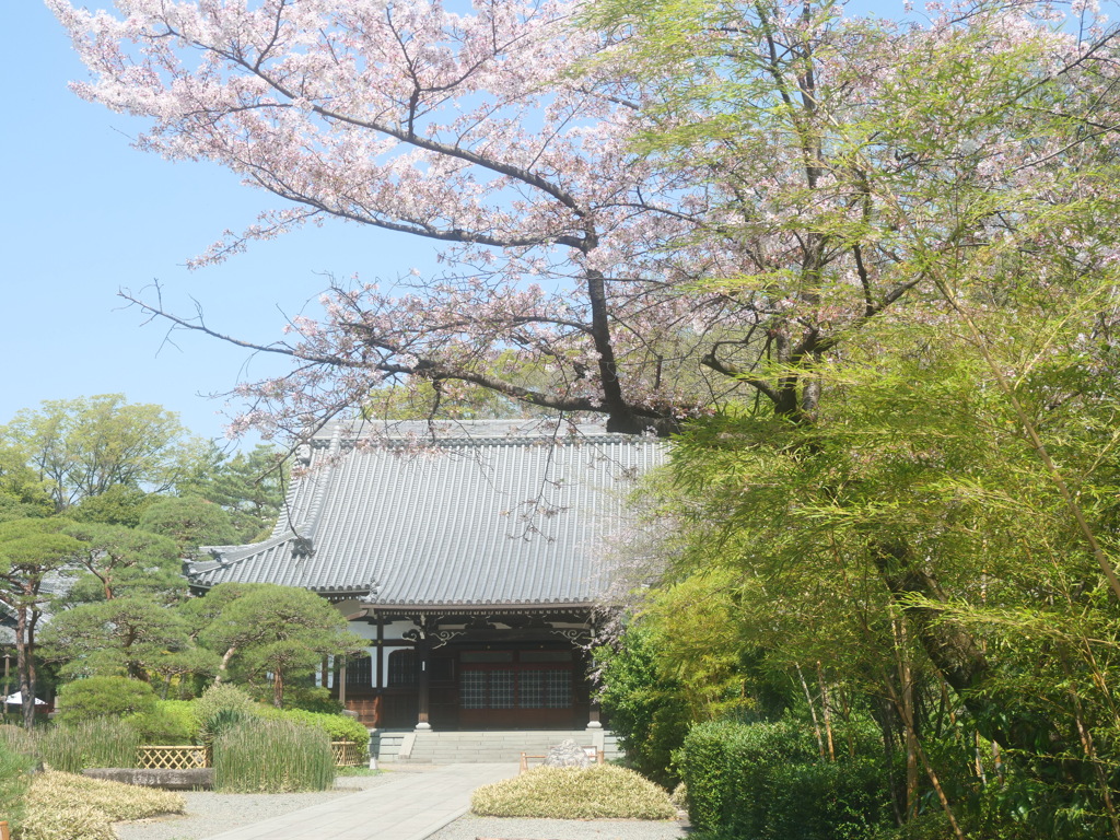 真盛寺