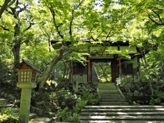 嵐山　深緑の描写が美しい常寂光寺の入り口