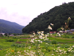 都会者が好きな風景
