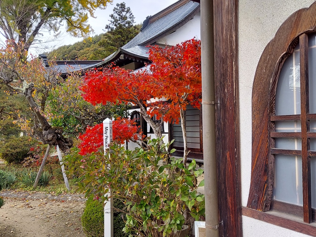 高遠満光寺の紅葉
