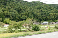 杖突峠からの景色　余りの嬉しさに何を撮りたかったのか覚えてない(;^_^A