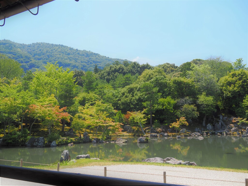 天龍寺の池