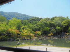 天龍寺の池