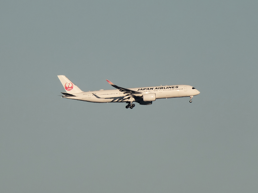 二子玉川土手から東を見ると、我が家上空で車輪を出す鶴を見た(◎_◎;)