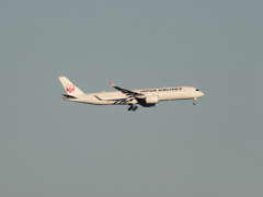 二子玉川土手から東を見ると、我が家上空で車輪を出す鶴を見た(◎_◎;)