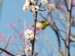 さて、次は何処へ行こうか！
