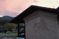 お隣の蔵が懐かしい。夏の毎朝ヤギのお乳を頂いた。