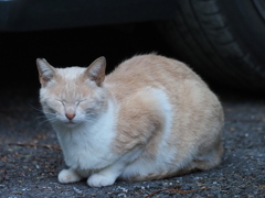 あのー帰りたいんですが、起きて頂けませんかね～。
