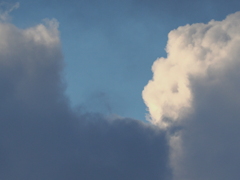 今朝の雲