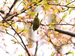 次はどれにしようかな