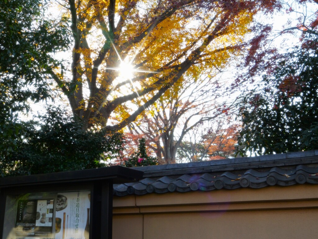 美術館の外壁より
