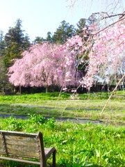 ベンチに座りぼーっと見ていたい。あっ！仕事忘れそう（笑）