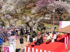 大倉山の梅林　（大変にぎわっていました）