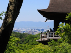 清水寺から見る京都タワー