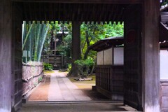 洗足池の妙福寺