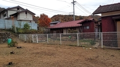 高遠最終日、我が家の縁側で何もない庭を愛でる。