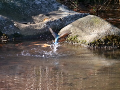 離水