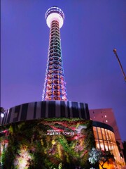 マリンタワーの夜景