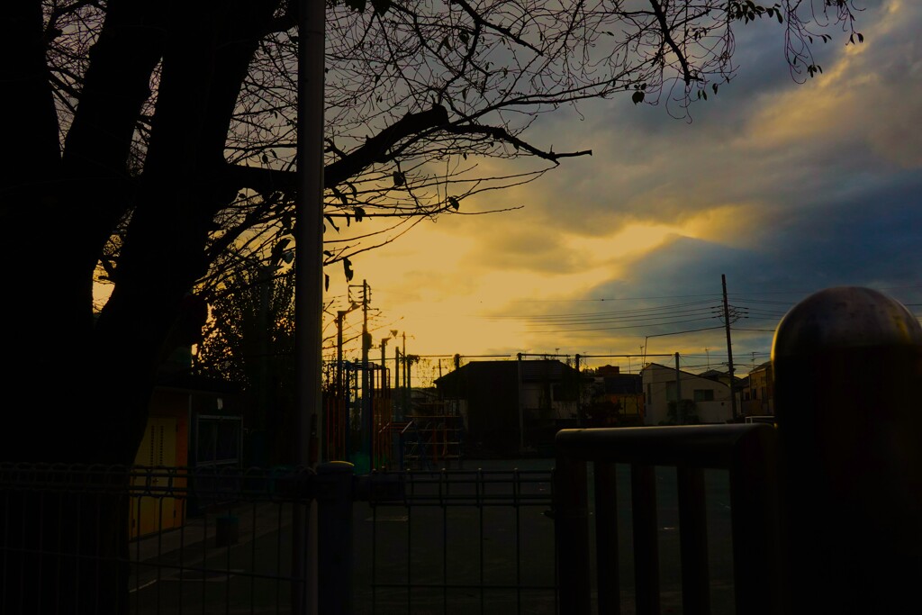 晩秋の夕景