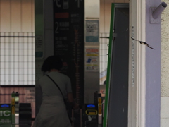 大磯駅構内の我が子へ急ぐツバメちゃん　⑥