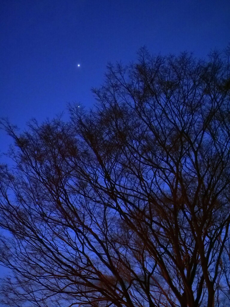 西の空に２つの星が輝く