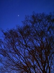 西の空に２つの星が輝く