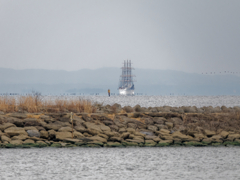 葛西臨海公園から見えた二代目日本丸