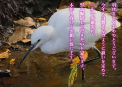 新年のご挨拶
