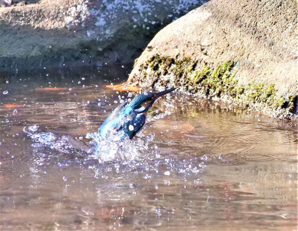 離水