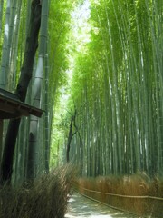 嵐山の竹林　Ⅲ