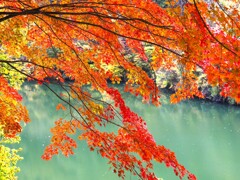 もみじ湖と紅葉　伊那のオフ会にて