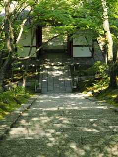 嵐山　常寂光寺の入り口を上から見る