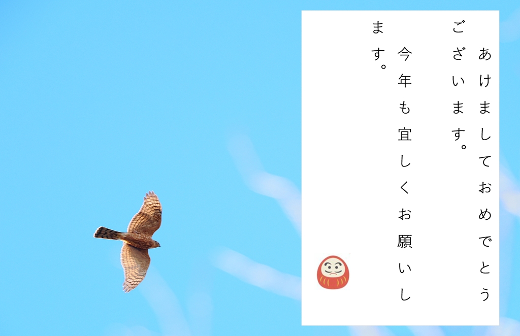今年も宜しくね。(^_-)-☆