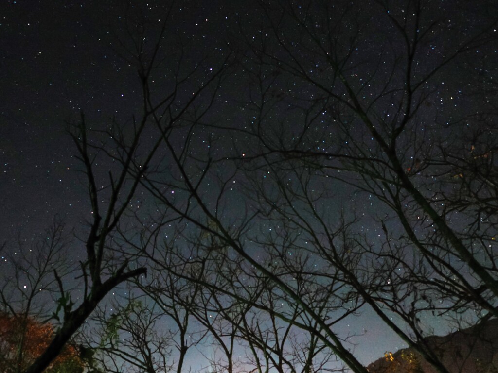 伊那市高遠町　殿坂から見る星空