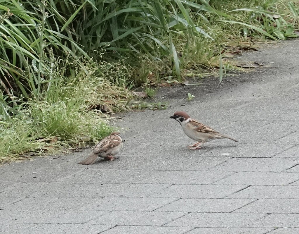 雨、あがったね。