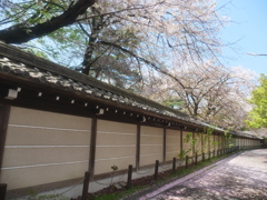 東高円寺近くの真盛寺 の外塀