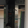 大磯駅構内の我が子へ急ぐツバメちゃん　END！
