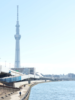 スカイツリー