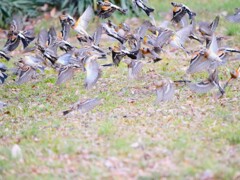 誰かが飛び出すと一斉に