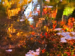 水面に写る紅葉が好き