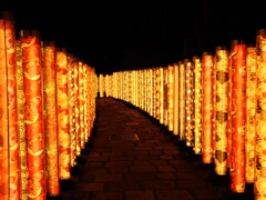 着物ライトフェア