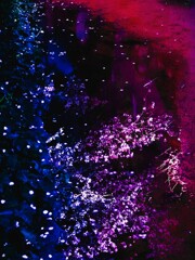 銀河を感じる水たまりの世界　　目黒川の夜桜より