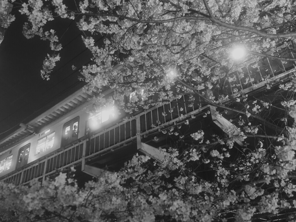 夜桜と中目黒駅