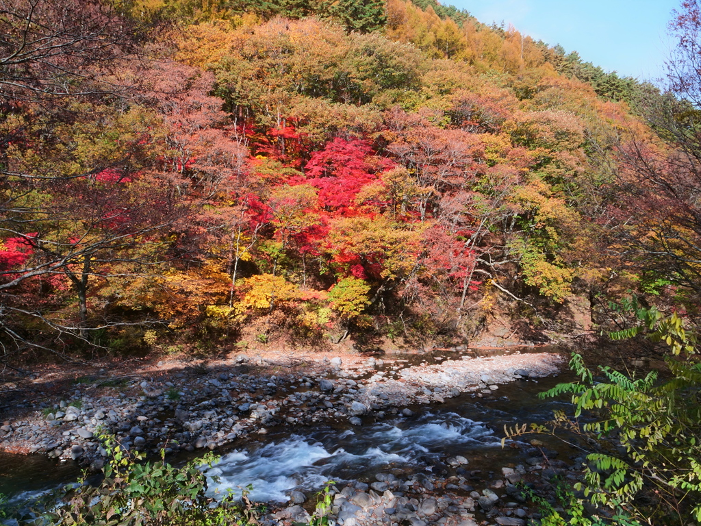 清流の流れ