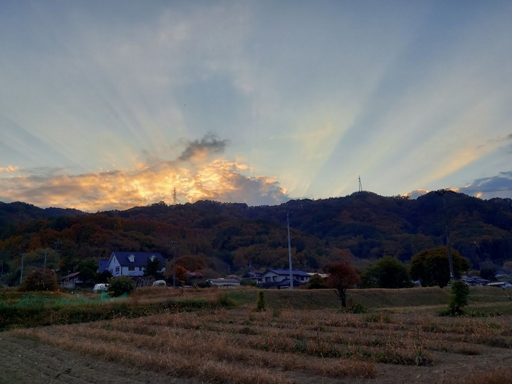 勝間垂れ桜の近く　　高遠