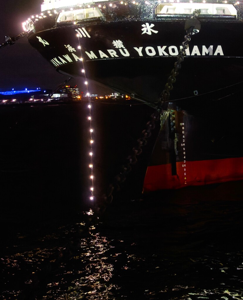 夜の氷川丸Ⅱ