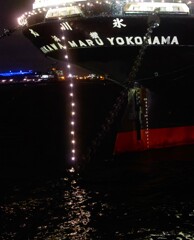 夜の氷川丸Ⅱ