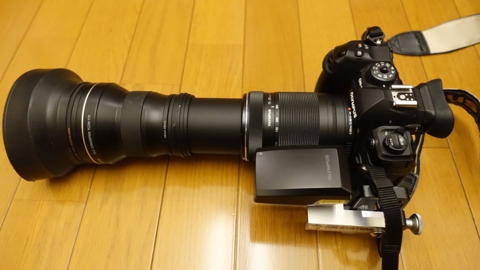 OM-1と、75-300ＭＭ＋TC17　組み合わせて510ＭＭ