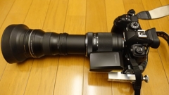OM-1と、75-300ＭＭ＋TC17　組み合わせて510ＭＭ